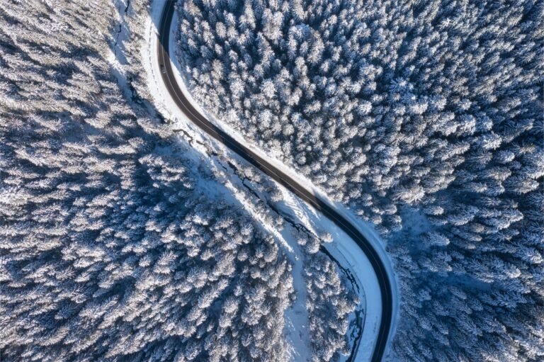 Natural winter landscape from air. Aerial view on the road and forest at the winter time.