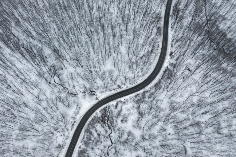 Top view of winter forest road. Aerial drone image